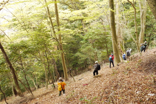 11月ブナ林森林浴＆撮影会