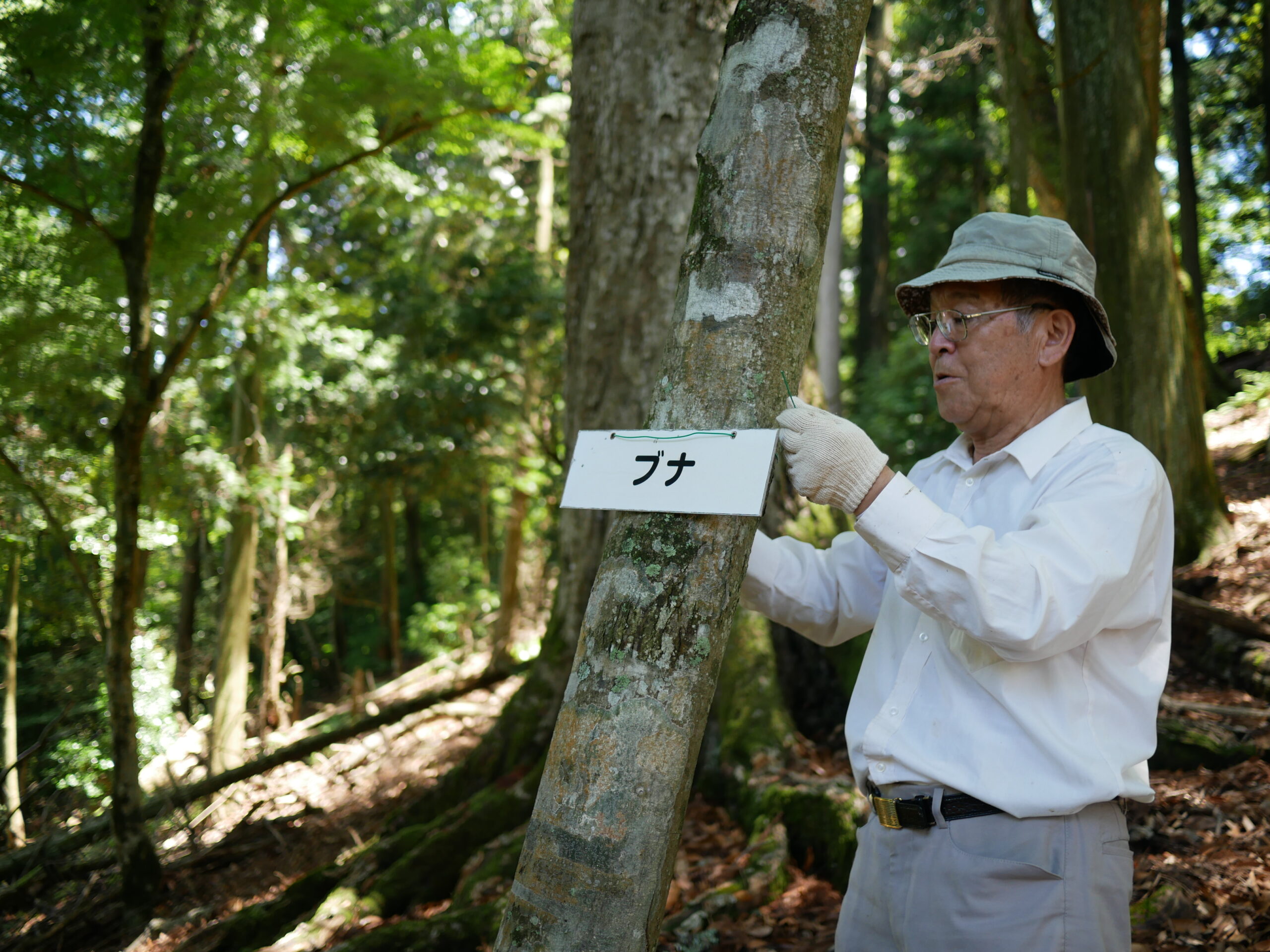 ７月の保護活動