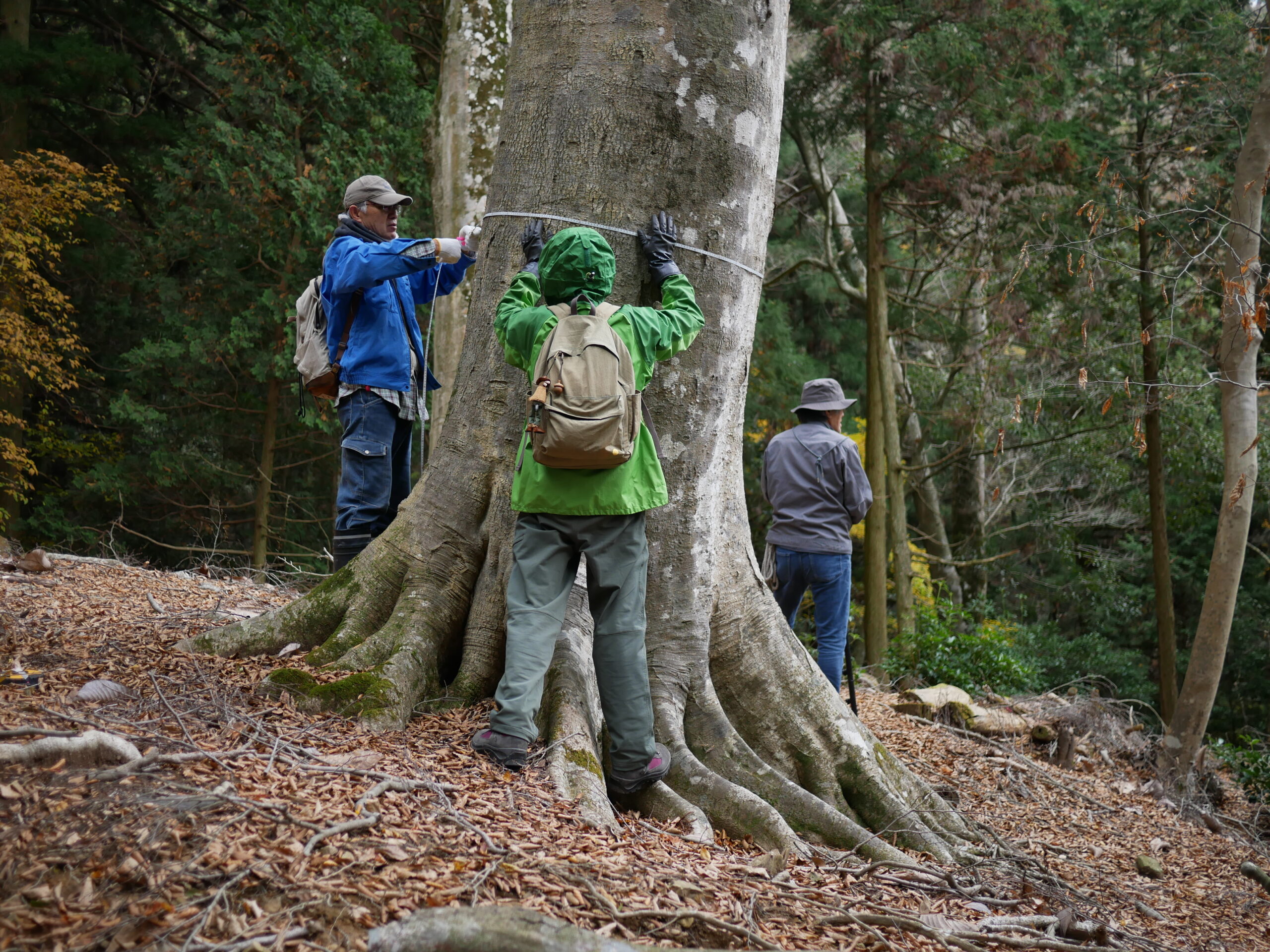 11月の保護活動