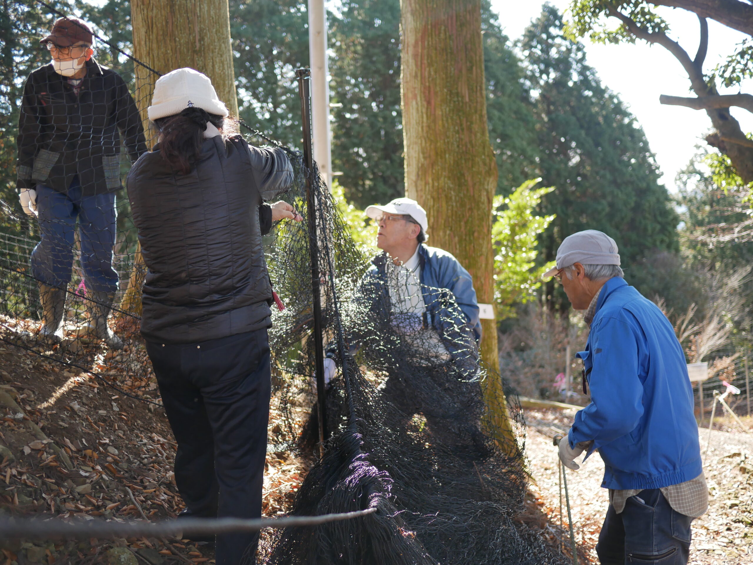 12月の保護活動