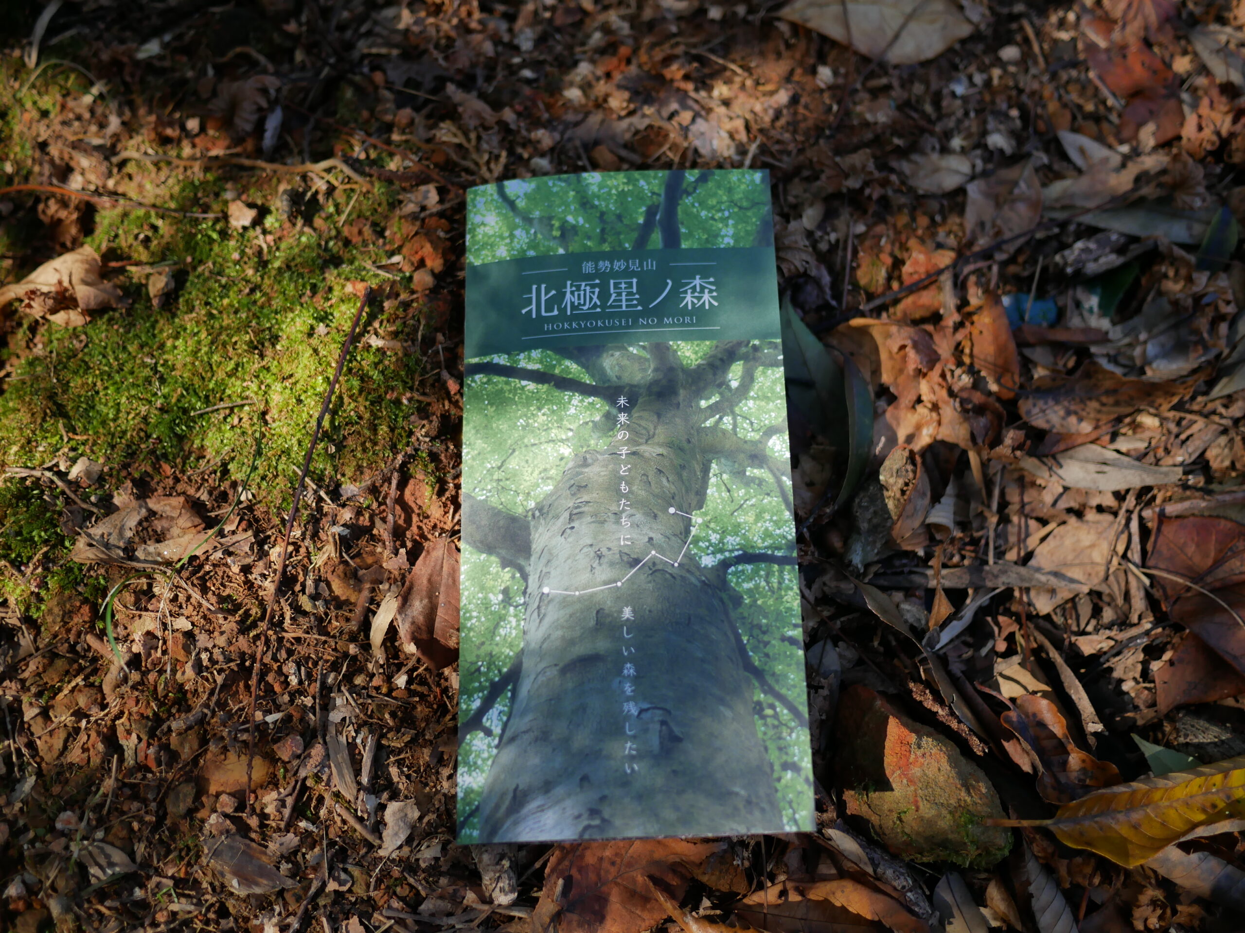 新しいパンフレットができました